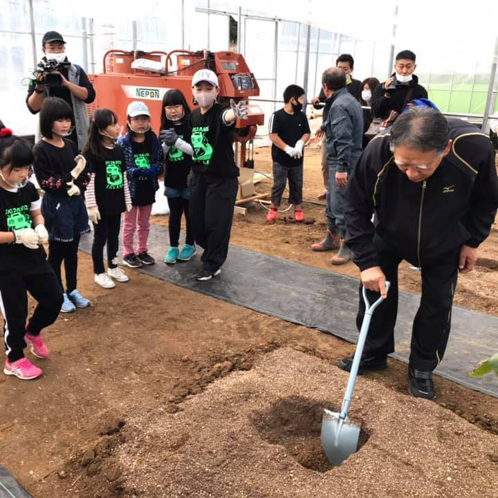 バナナを植樹している画像